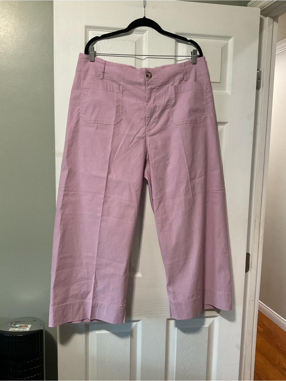 Anthropologie Wide-Leg Cropped Pants in Light Pink